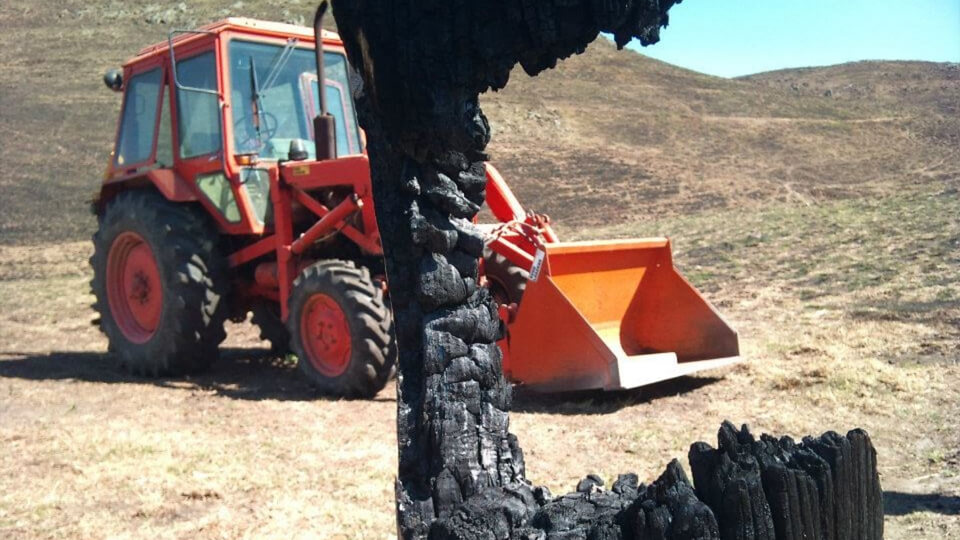 Burnt fence post in fire-affected farmland